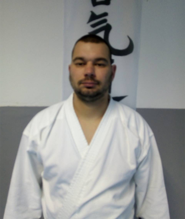 Dragan Gajić